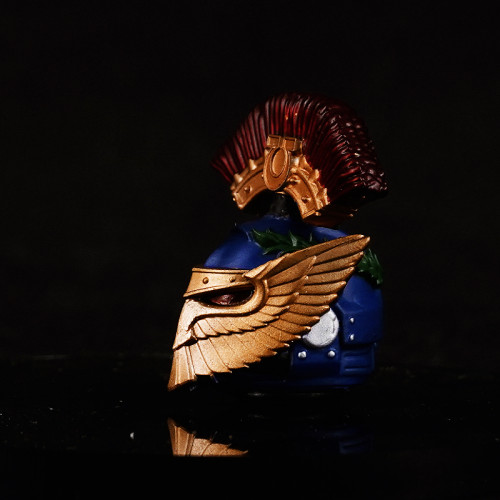 COOL TOYS CLUB CTC 472 - 477 Ultramarines Honour Guard Helmet