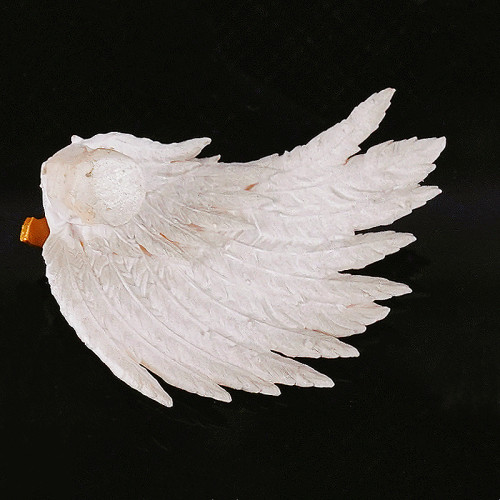 COOL TOYS CLUB CTC 627 Feather Jewelry for Sanguinius Charm +1