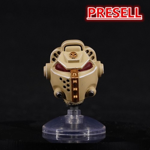 COOL TOYS CLUB CTC 483 Dark Angels Helmet