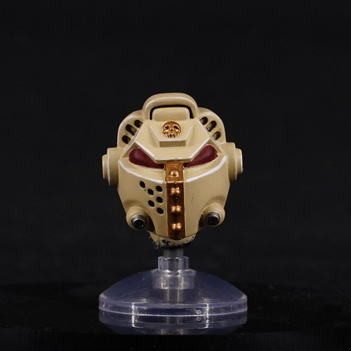 COOL TOYS CLUB CTC 483 Dark Angels Helmet