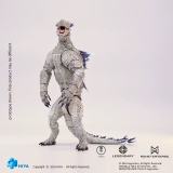 HIYA EBG0414 Exquisite Basic Series None Scale 6 Inch Godzilla x Kong The New Empire Shimo