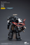 JOYTOY Warhammer 40k 1: 18 Black Templars Marshal Primaris Sword Brethren and Emperors Champion