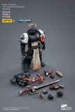 JOYTOY Warhammer 40k 1: 18 Black Templars Marshal Primaris Sword Brethren and Emperors Champion
