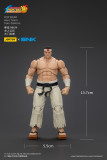 JOYTOY The King of Fighters KOF 98UM Japan Team