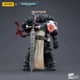 JOYTOY Warhammer 40k 1: 18 Black Templars Marshal Primaris Sword Brethren and Emperors Champion