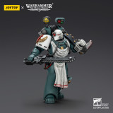JOYTOY Warhammer The Horus Heresy 1: 18 Sons Of Horus Legion