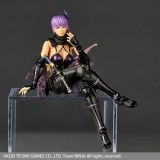 KAIYODO NR067 Revoltech Amazing Yamaguchi Dead or Alive Ayane