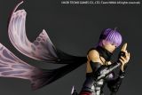 KAIYODO NR067 Revoltech Amazing Yamaguchi Dead or Alive Ayane