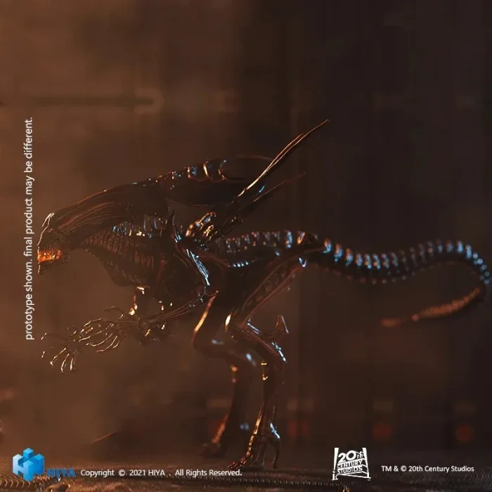 ラブプラスエイリアン リミテッドエディション Prada PR 27ZS Sunglasses | LensCrafters