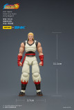JOYTOY The King of Fighters KOF 98UM Fatal Fury Team