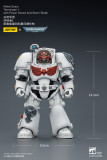 JOYTOY Warhammer 40k 1: 18 White Scars Terminators