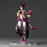 KAIYODO NR065 Revoltech Amazing Yamaguchi Juri Han
