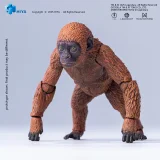 HIYA EBG0160 Exquisite Basic Series None Scale 14 Inch Godzilla x Kong The New Empire Mothra Premium Set