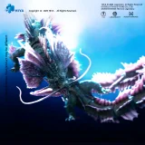 HIYA EBG0182 Exquisite Basic Series None Scale 15.7 Inch Godzilla x Kong The New Empire Tiamat