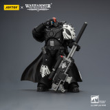 JOYTOY Warhammer The Horus Heresy 1:18 Raven Guard Legion
