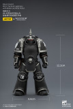 JOYTOY Warhammer The Horus Heresy 1:18 Raven Guard Legion