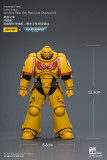 JOYTOY Warhammer 40k 1: 18 Intercessors