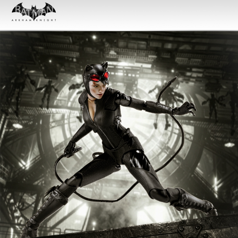 A/Cプロパフォーマンス12本セット UPFinegures LPZZ 1/12 Batman Arkham Knight Catwoman