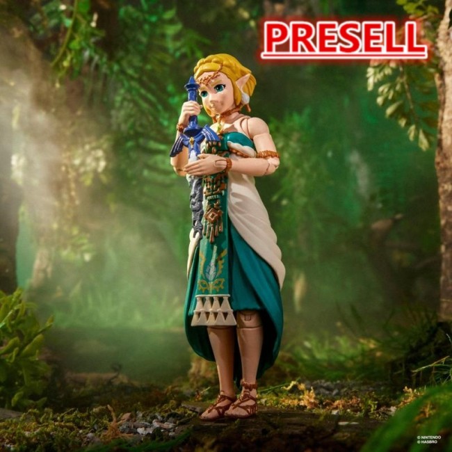 Hasbro The Legend of Zelda Tears of the Kingdom 6 Inch Hero of Hyrule Princess Zelda