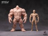 Wind Toys 1/12 Male Body Titan