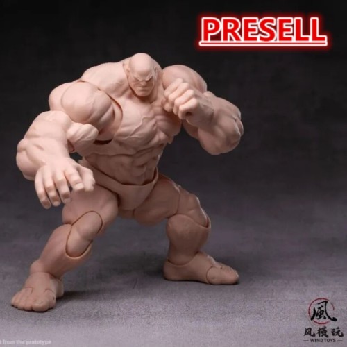 Wind Toys 1/12 Male Body Titan