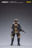 JOYTOY 1: 18 PAP Special Forces