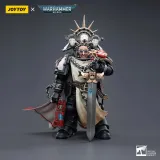 JOYTOY Warhammer 40k 1: 18 Black Templars Marshal Primaris Sword Brethren and Emperors Champion