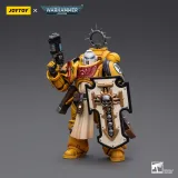 JOYTOY Warhammer 40k 1: 18 Pmaris Space Marines Bladeguard Veteran