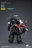 JOYTOY Warhammer 40k 1: 18 Black Templars Marshal Primaris Sword Brethren and Emperors Champion