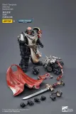 JOYTOY Warhammer 40k 1: 18 Black Templars Marshal Primaris Sword Brethren and Emperors Champion