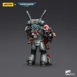 JOYTOY Warhammer 40k 1: 18 Grey Knights Interceptor Squad