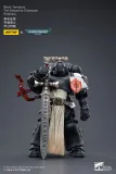 JOYTOY Warhammer 40k 1: 18 Black Templars Marshal Primaris Sword Brethren and Emperors Champion