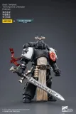 JOYTOY Warhammer 40k 1: 18 Black Templars Marshal Primaris Sword Brethren and Emperors Champion