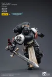 JOYTOY Warhammer 40k 1: 18 Black Templars Marshal Primaris Sword Brethren and Emperors Champion