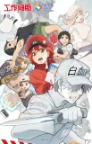 KALOS BLOCKS 32001 Cells at Work! Code Black