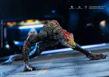 HIYA EBG0431 Godzilla vs. Kong Skull Crawler