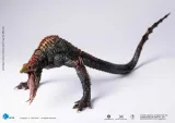 HIYA EBG0431 Godzilla vs. Kong Skull Crawler