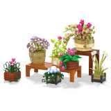 BAKA 33804 Cymbidium Potted Plant