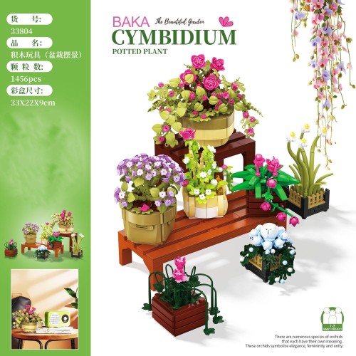 BAKA 33804 Cymbidium Potted Plant