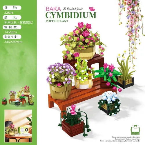 BAKA 33804 Cymbidium Potted Plant