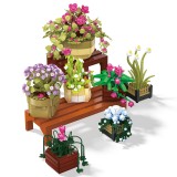 BAKA 33804 Cymbidium Potted Plant