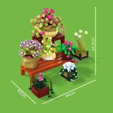 BAKA 33804 Cymbidium Potted Plant