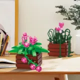 BAKA 33804 Cymbidium Potted Plant