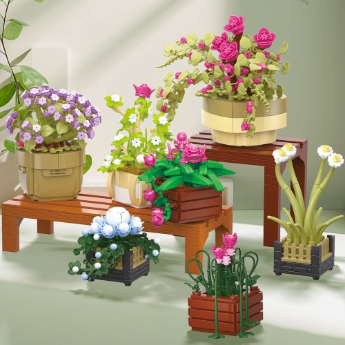 BAKA 33804 Cymbidium Potted Plant