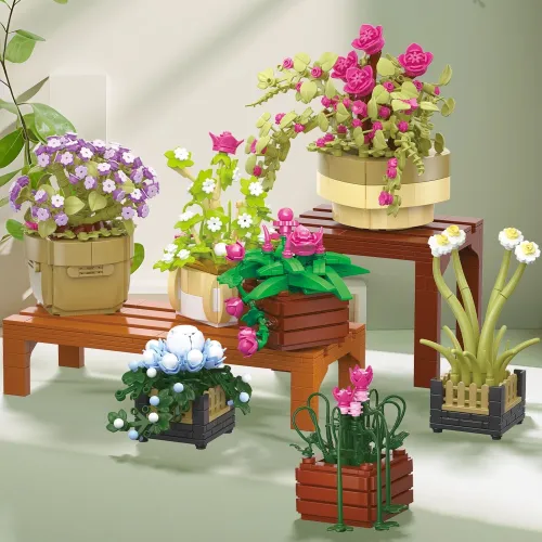 BAKA 33804 Cymbidium Potted Plant