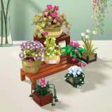 BAKA 33804 Cymbidium Potted Plant