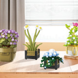BAKA 33804 Cymbidium Potted Plant