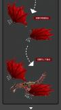 Mork 033022 Fire Dragon