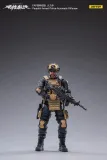 JOYTOY 1: 18 PAP Special Forces