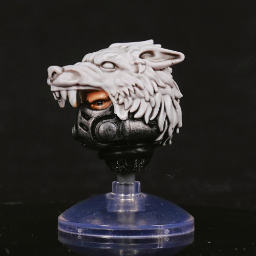CTC 479 Helmet for Space Wolves